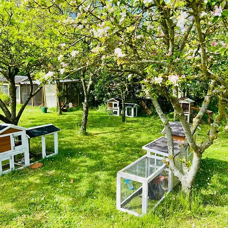 4 Persoons Ingerichte Tent Op Kleine Camping * Anna Paulowna