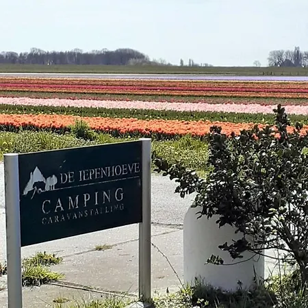 Campismo de Luxo 4 Persoons Ingerichte Tent Op Kleine Camping