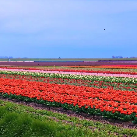 4 Persoons Ingerichte Tent Op Kleine Camping *