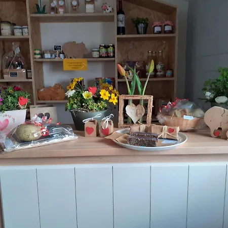 4 Persoons Ingerichte Tent Op Kleine Camping Luxusní stan Anna Paulowna